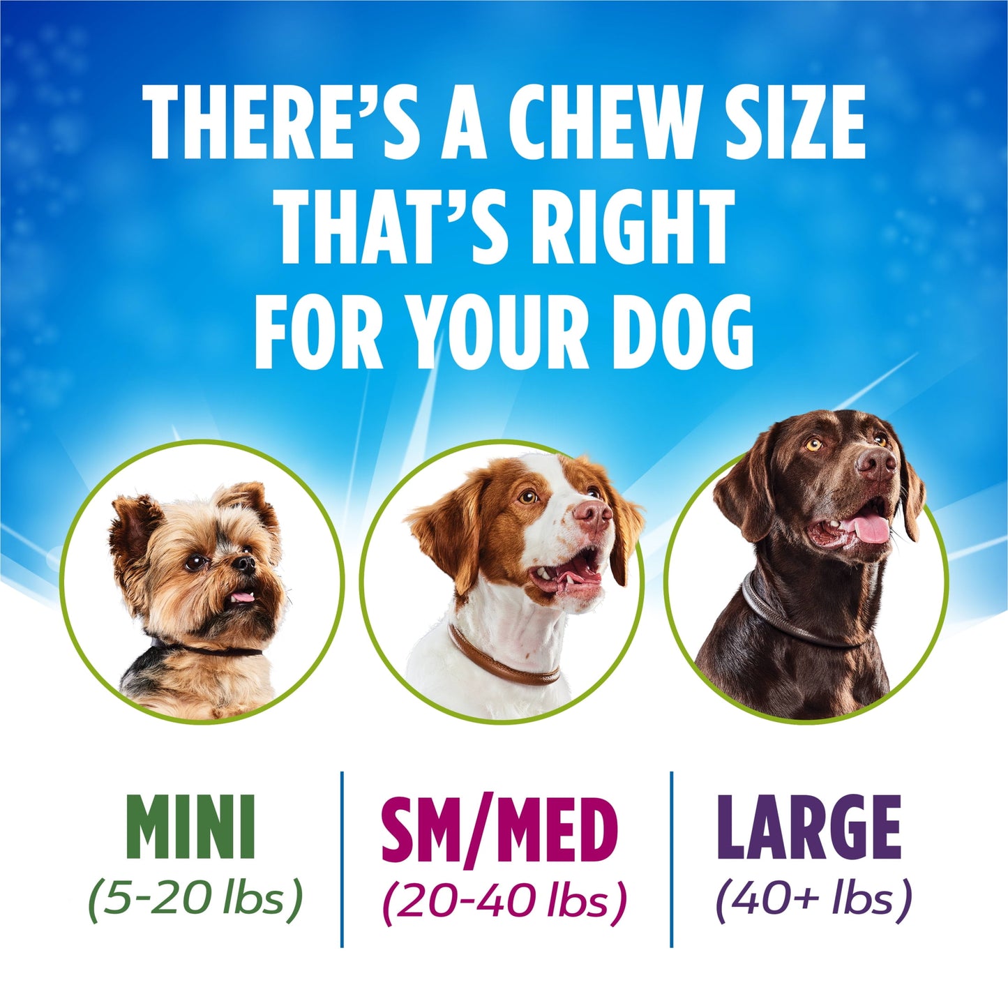 Purina Activfresh Large Dog Treats Dental Chews with Chicken, 24.1 Oz Pouch (21 Count)